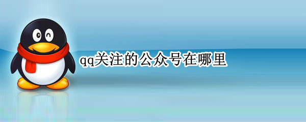 qq关注的公众号在哪里
