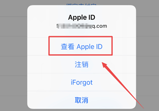 怎么取消app store的自动续费