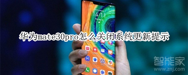 华为mate30pro怎么关闭系统更新提示