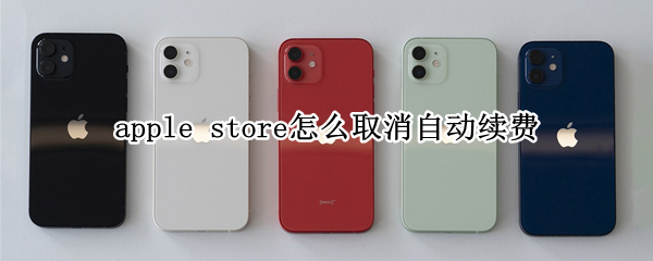 apple store怎么取消自动续费