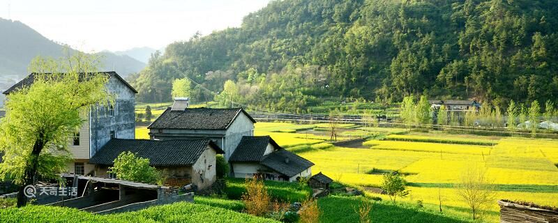 乡村振兴宣传标语 有哪些农村宣传语