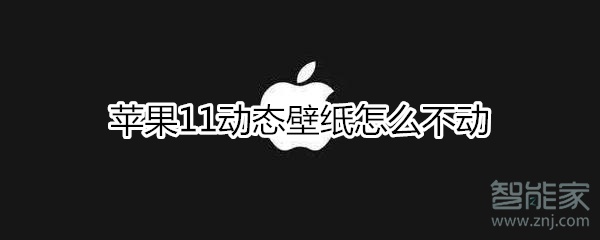 苹果11动态壁纸怎么不动