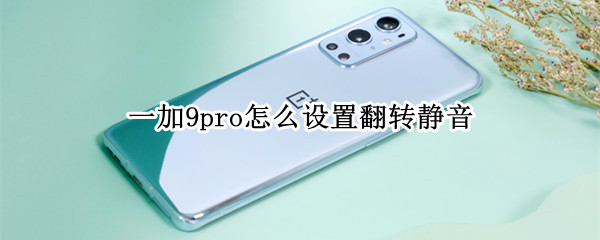 一加9pro怎么设置翻转静音