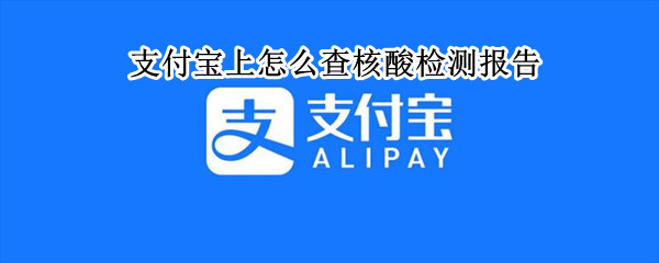 支付宝上怎么查核酸检测报告