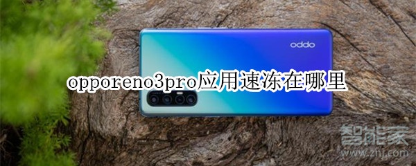 opporeno3pro应用速冻在哪里