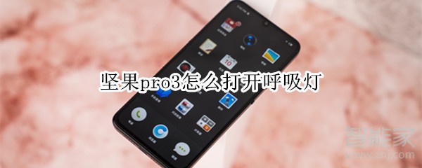 坚果pro3怎么打开呼吸灯