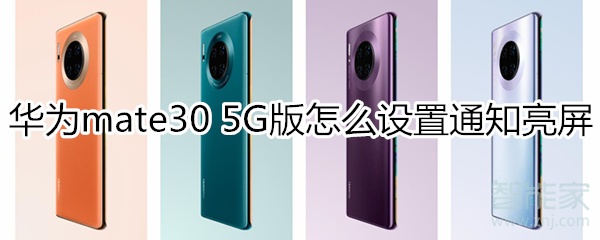 华为mate30 5G版怎么设置通知亮屏