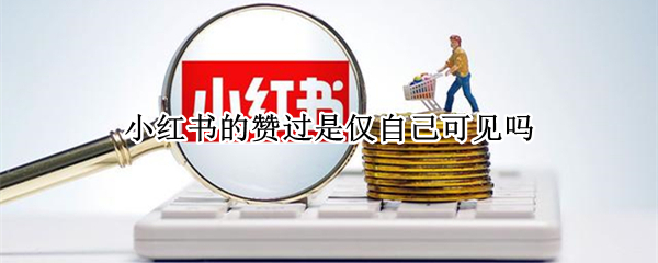 小红书的赞过是仅自己可见吗