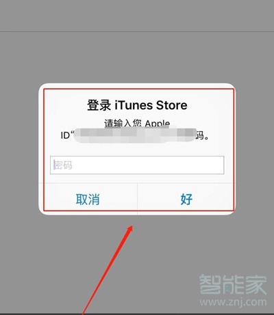 苹果设置订阅服务在哪
