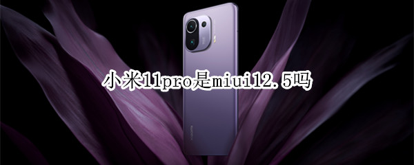 小米11pro是miui12.5吗