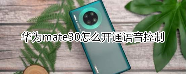 华为mate30怎么开通语音控制