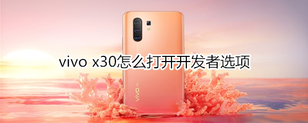 vivo x30怎么打开开发者选项