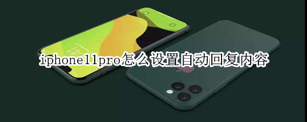iphone11pro怎么设置自动回复内容