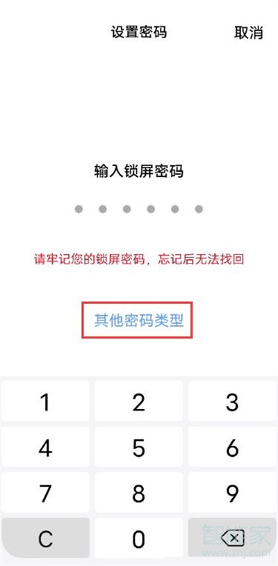 iqooneo5活力版怎么设置锁屏密码