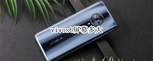 vivos6屏幕多大