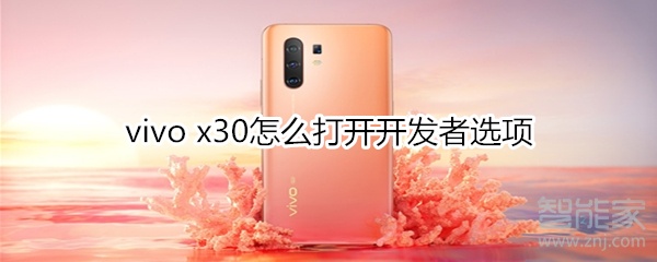 vivo x30怎么打开开发者选项