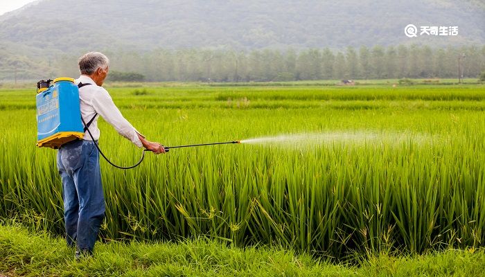 三农指什么三生指什么 三生三农分别指