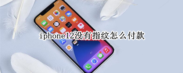 iphone12没有指纹怎么付款
