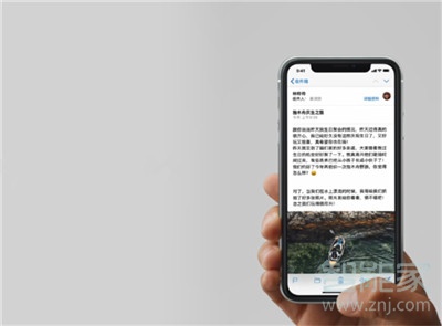 iphone11怎么返回主屏幕