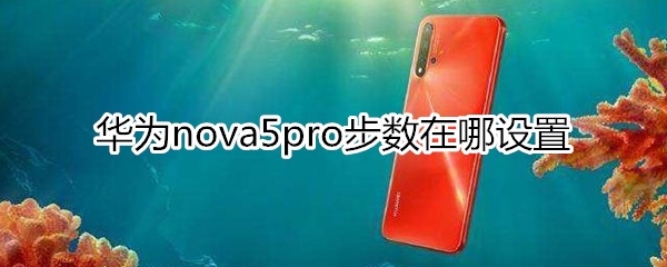 华为nova5pro步数在哪设置