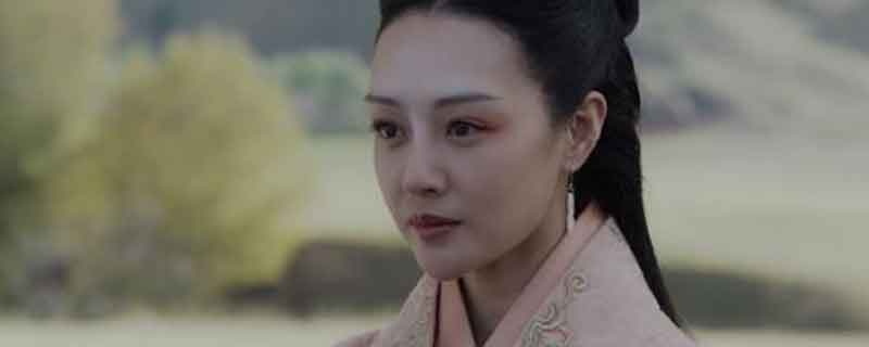 芈华在历史上是什么人 芈华是秦始皇的什么人