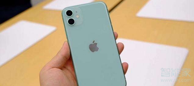 苹果11有3dtouch功能吗