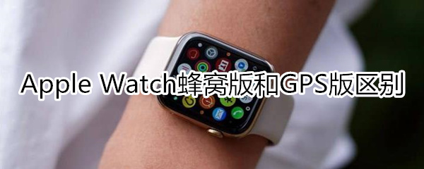 apple watchgps和蜂窝的区别是什么