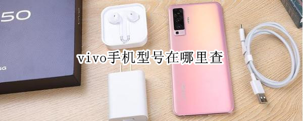 vivo手机型号在哪里查