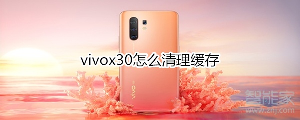 vivox30怎么清理缓存