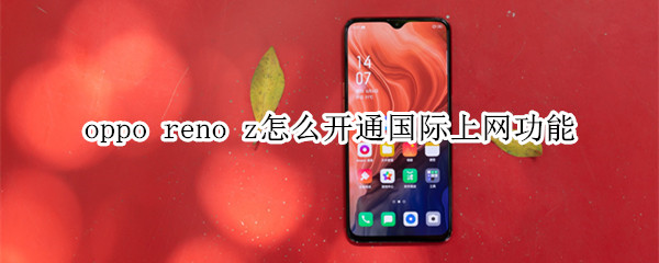 oppo reno z怎么开通国际上网功能