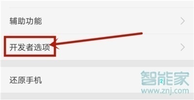 realmex2pro怎么打开开发者选项