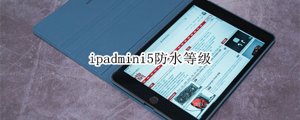 ipadmini5防水等级