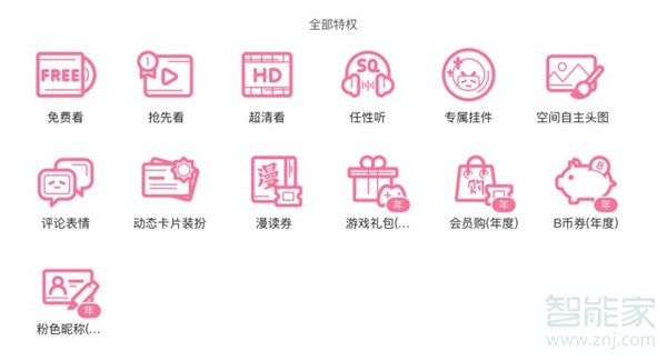 bilibili电视大会员与大会员的区别