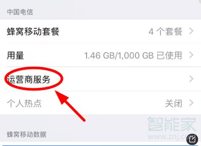 iphonex运营商设置在哪