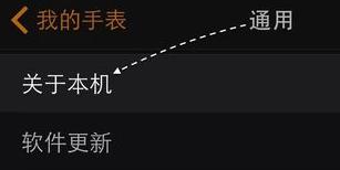 苹果手表怎么改名字