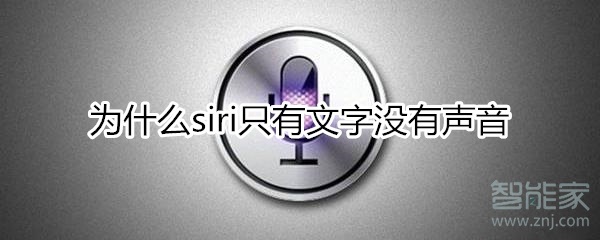 为什么siri没声音