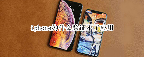 iphone为什么验证不了应用