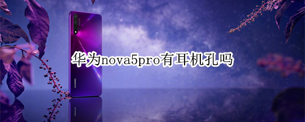 华为nova5pro有没有耳机孔