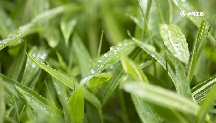 一场秋雨一场寒的下一句 一场秋雨一场寒的下一句是什么