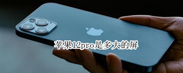 苹果12pro是多大的屏