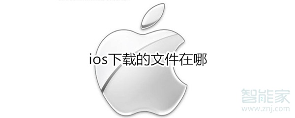 ios下载的文件在哪