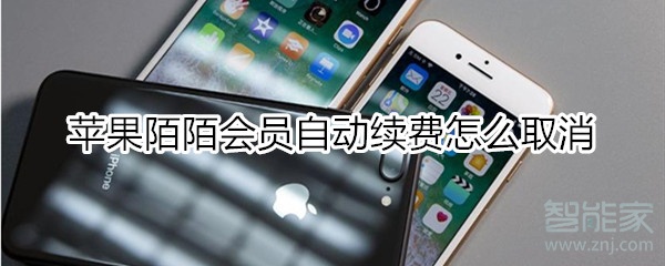 苹果陌陌会员自动续费怎么取消