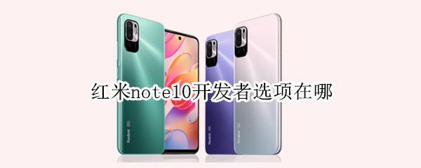 红米note10开发者选项在哪