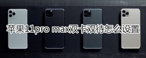 苹果11pro max双卡双待怎么设置