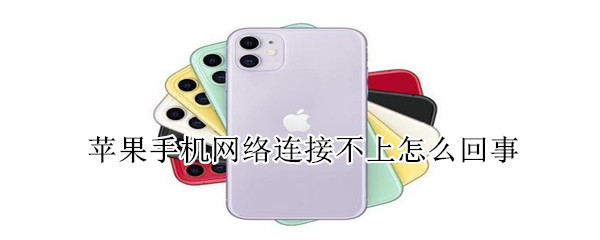苹果手机网络连接不上怎么回事