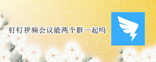 钉钉视频会议能两个群一起吗