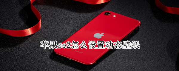苹果se2怎么设置动态壁纸