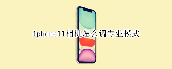iphone11相机怎么调专业模式