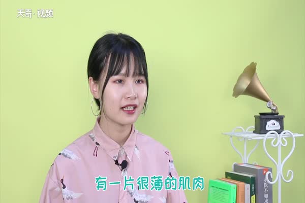 右眼皮跳是什么预兆 解析左右眼皮跳是吉是凶