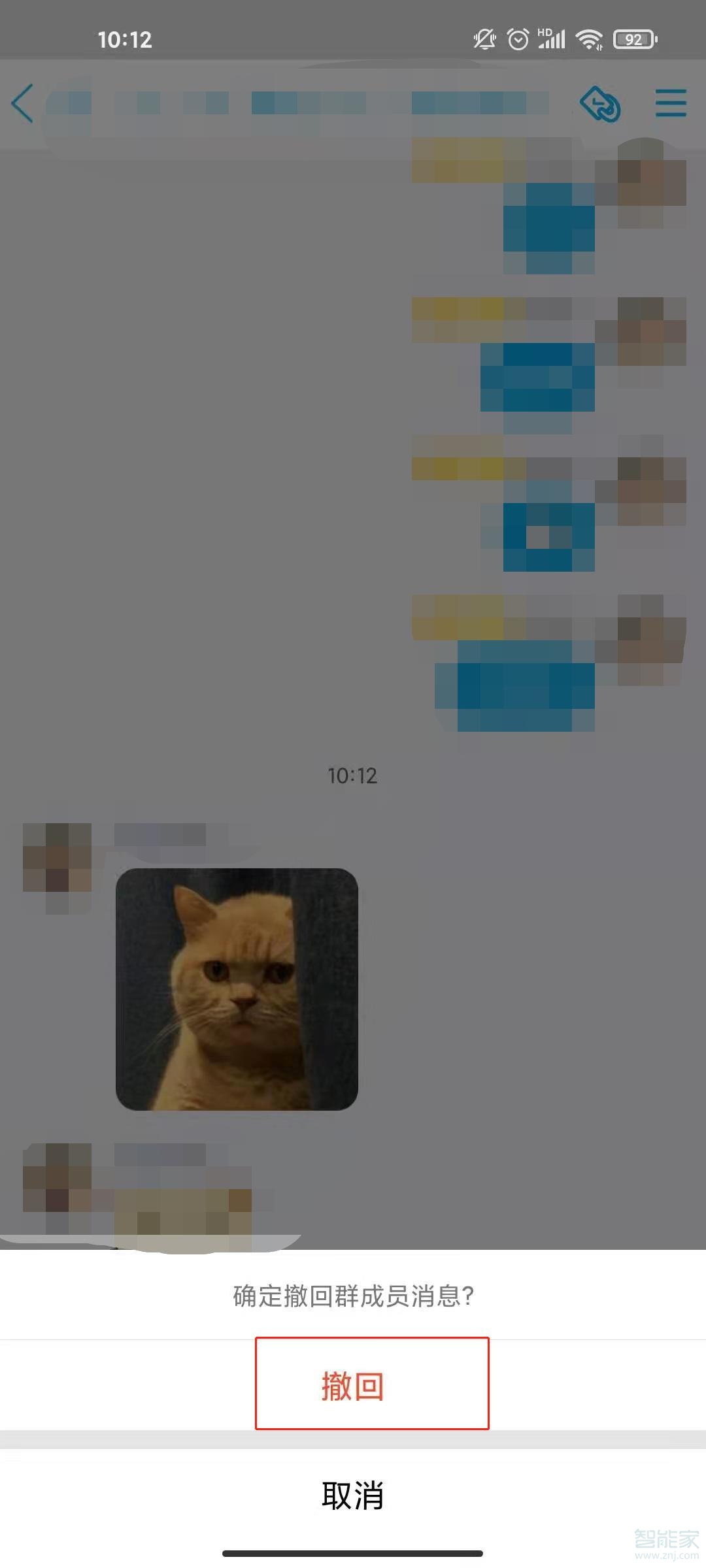 群主怎样删除群里成员发出的信息